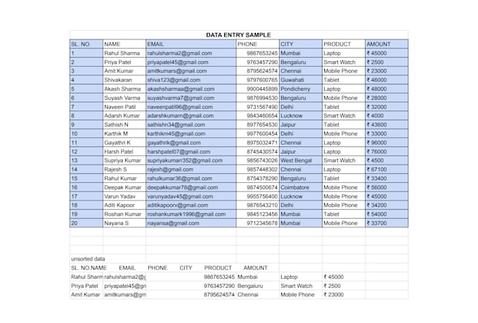 do expert data entry, data sorting and copy past work